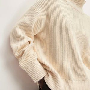 Everlane Cotton Ribbed Turtleneck